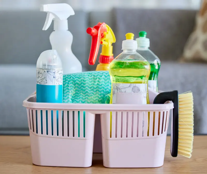 Daily Home Clean